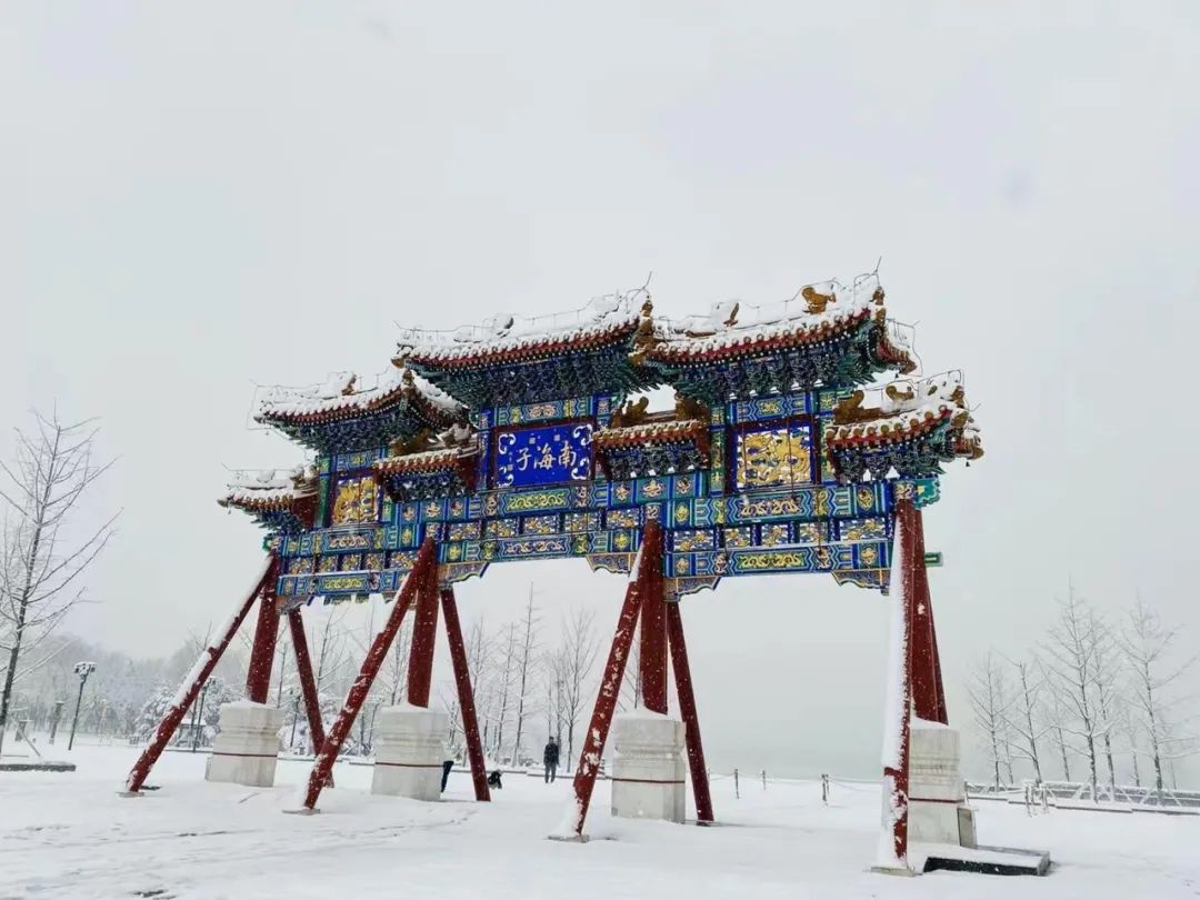 春雪初霁,春雪初霁杏花正芳月上夜吟