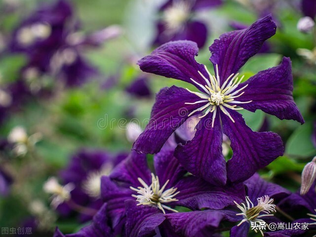 岁月无痕时光静好的散文,原创散文岁月极美