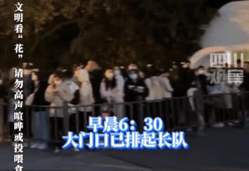 椰树男模火到国外,央视评论椰树男模