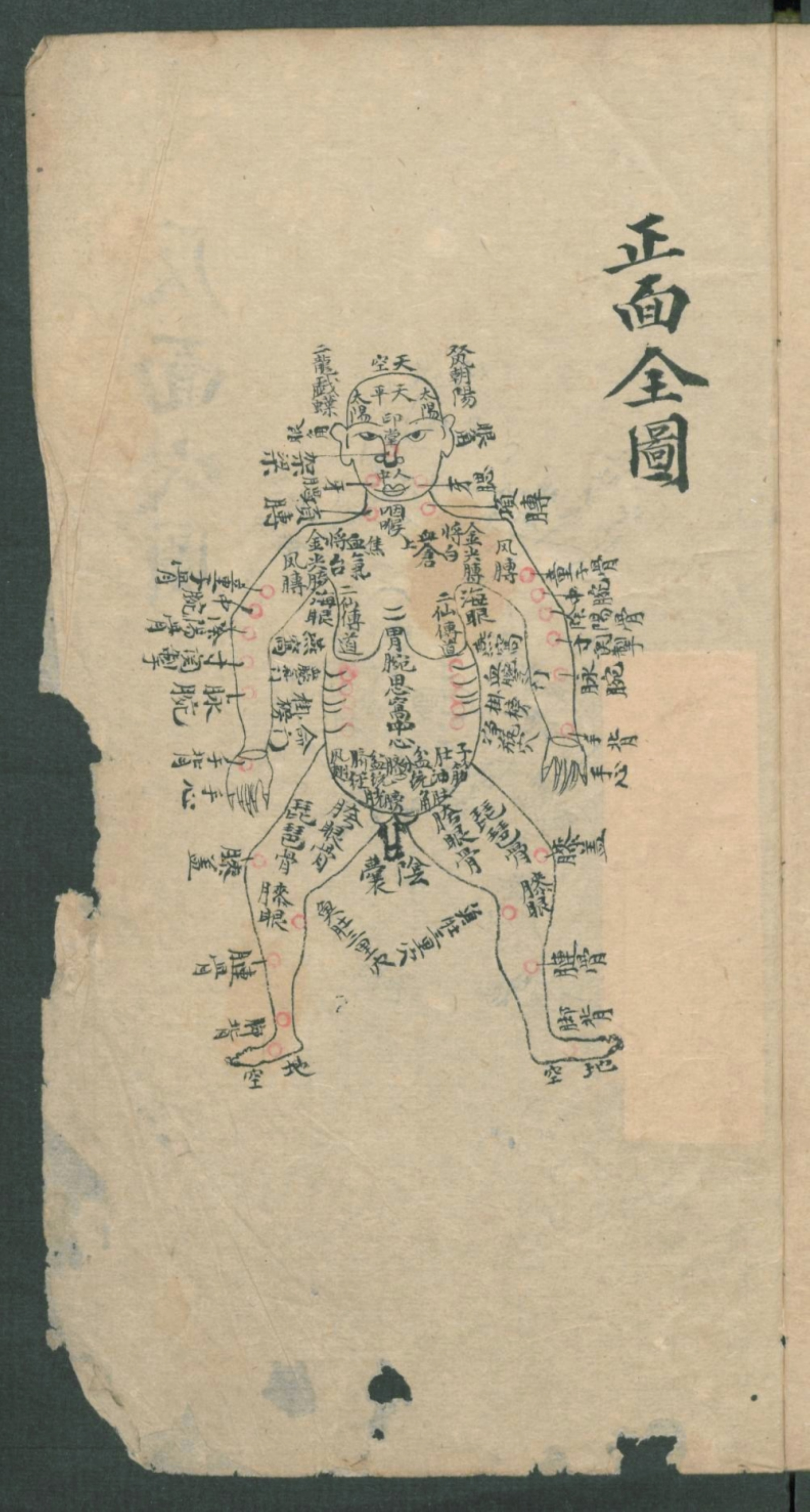 秘传跌打秘方,秘传跌打药方