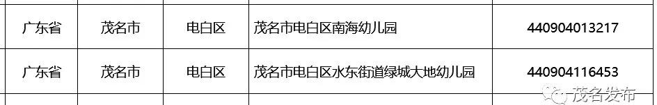 国家级足球特色学校4所上榜,茂名全国足球特色学校