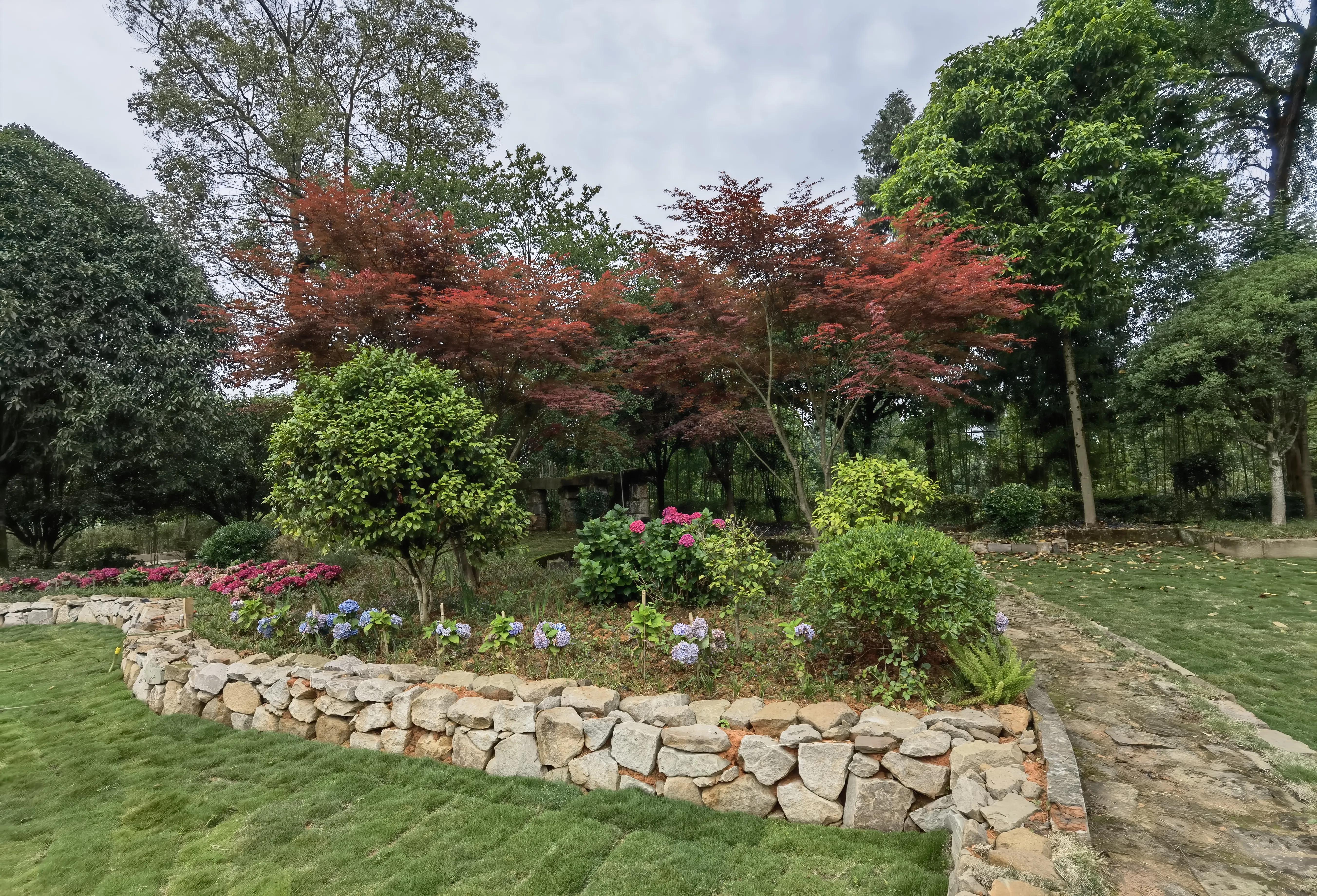 大顺李蔚如,航拍涪陵区大顺镇