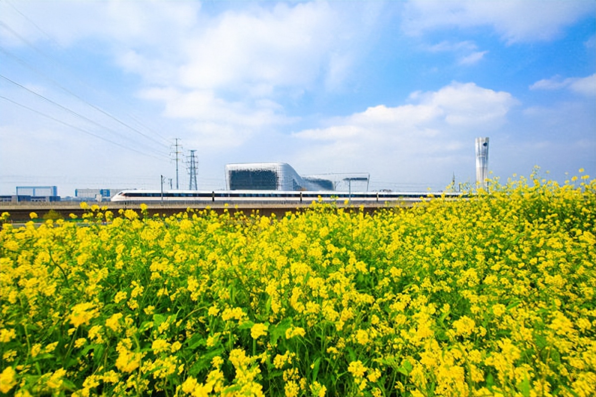 权威访谈｜对话郑州市委书记：让创新活力蓬勃竞发