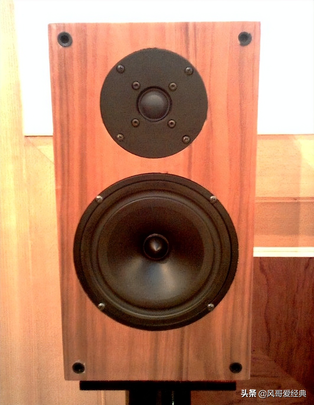 缂柉b40,缂柉b40闊崇