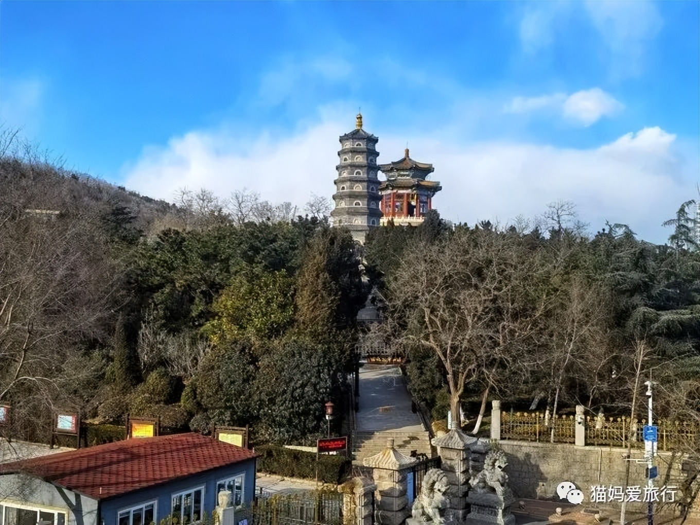 青岛过年遛娃好去处,青岛遛娃圣地