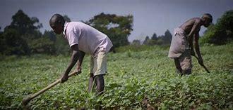 公元200年到公元500年的历史,关于历史的知识公元前1600