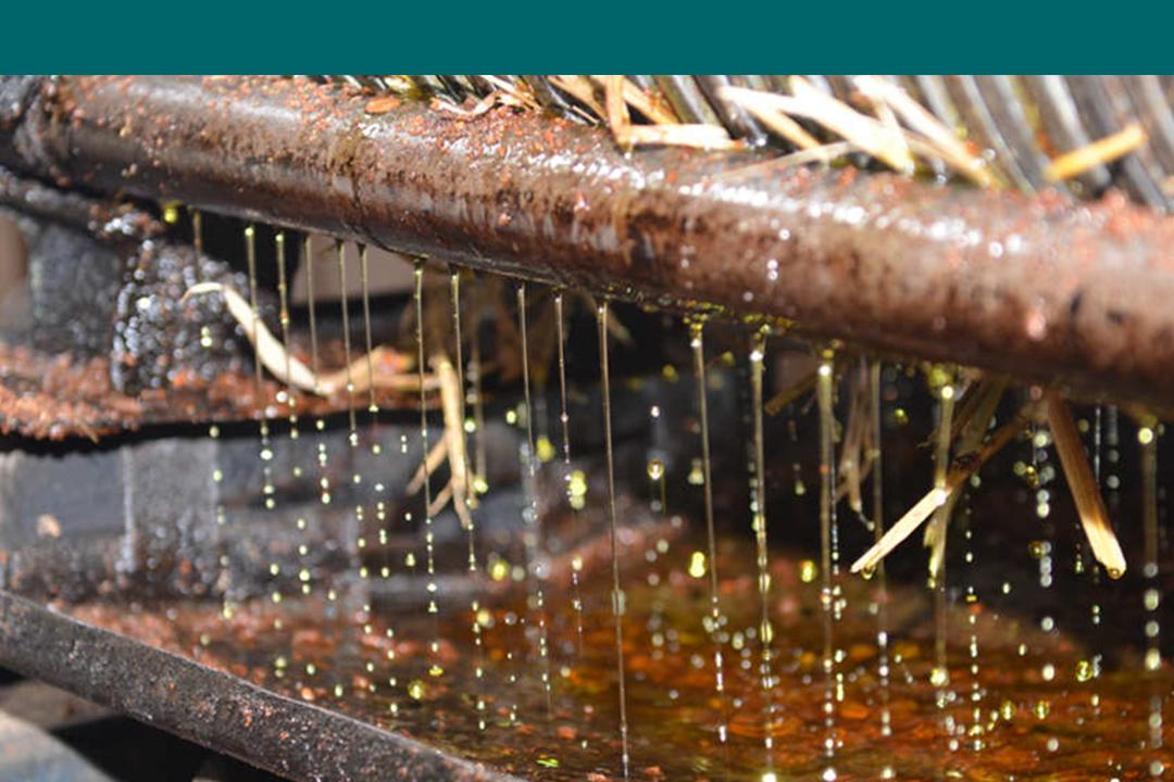 如何选购食用油桶,食用油选购攻略指南