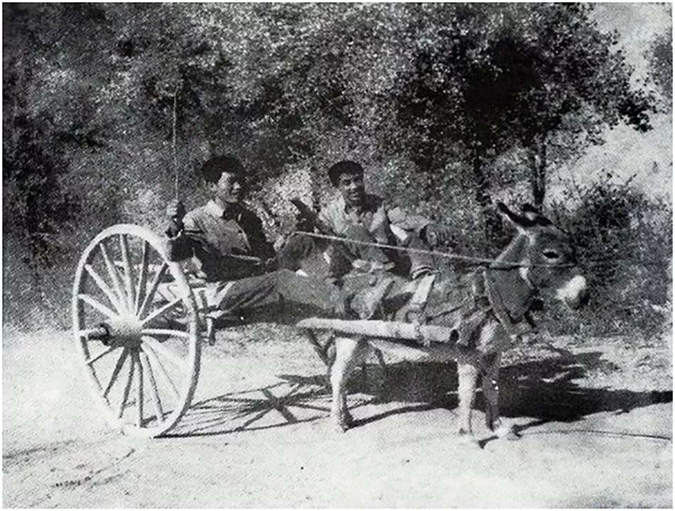 赶巴扎视频大全,赶巴扎时间表