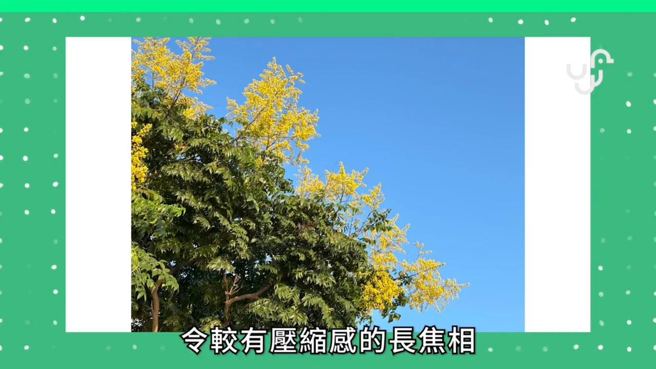 iphone15内地香港对比,港行iphone13