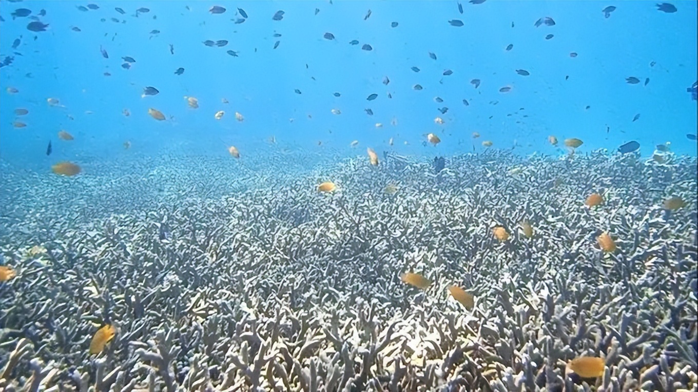 泰国小众海岛,泰国冷门又便宜的海岛