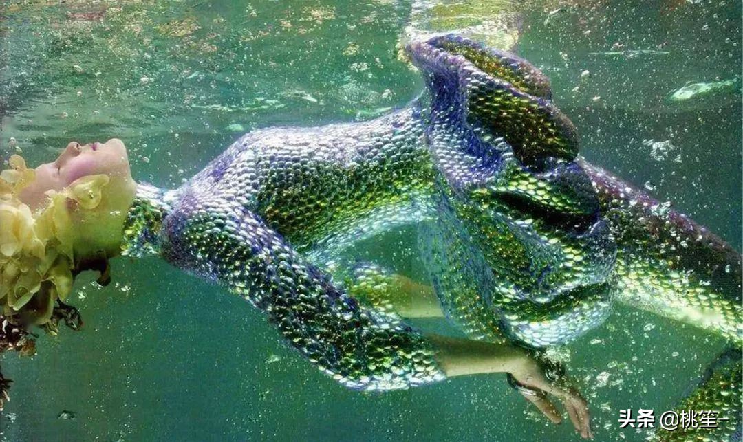 麦昆alexandermcqueen怎么穿,麦昆ALEXANDERMCQUEEN新款套装