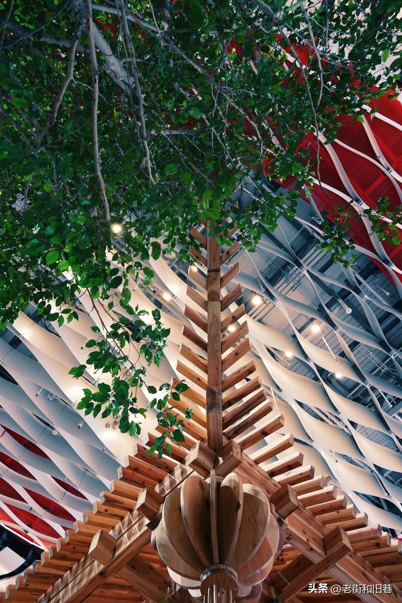 罗生门和黄粱梦,罗生门香港live