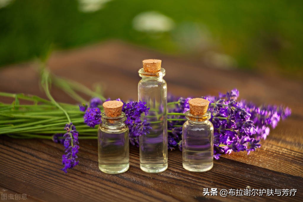 薰衣草真实香味,真实薰衣草推荐