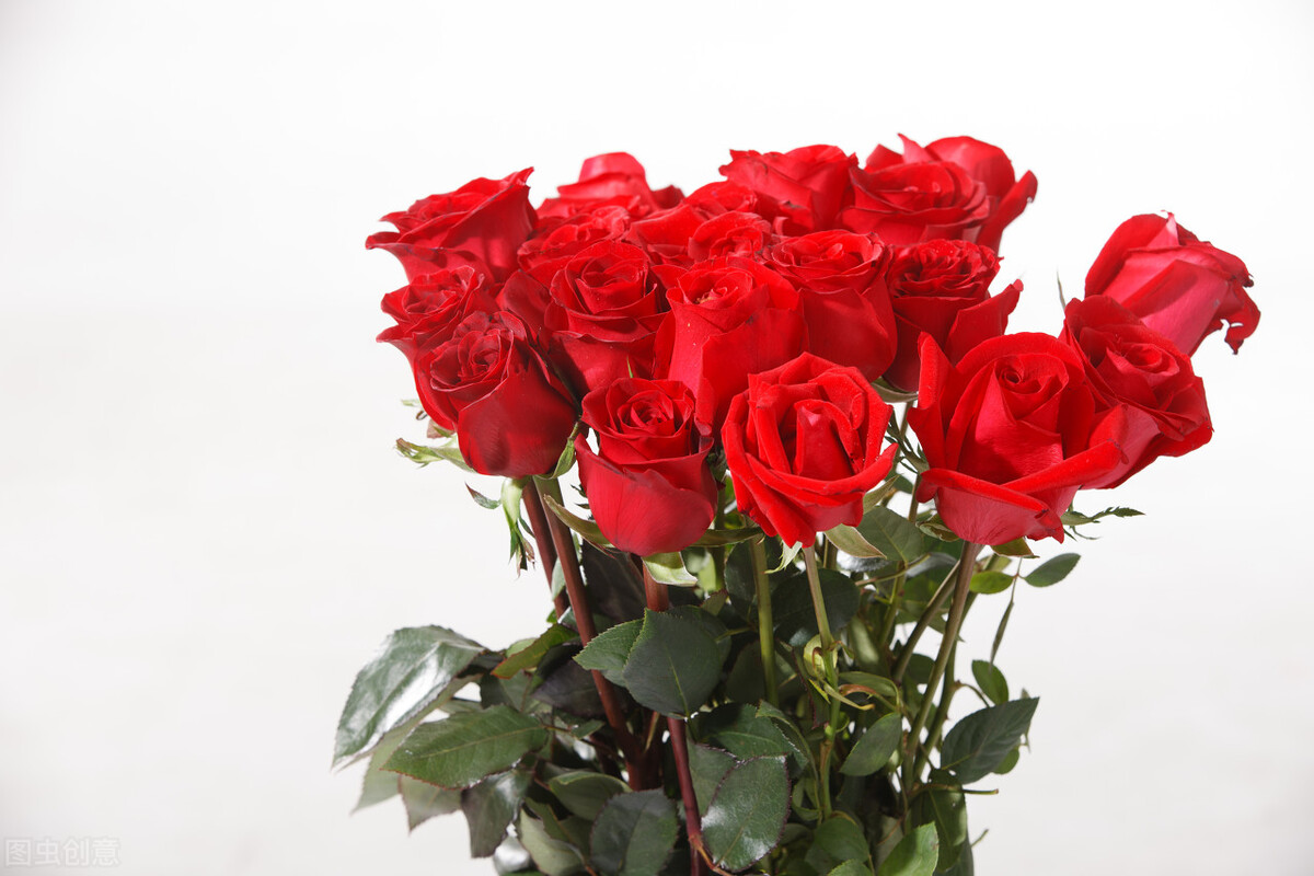 有一种爱是一辈子的挂念,真正的爱是一生的守候