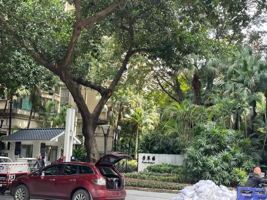 天河区学位房政策,广州天河区学位房排名