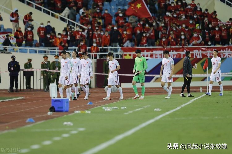 张效雄专业作家,作家张效雄全部小说