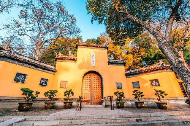 学生党去南京都有哪些必吃的美食,去南京必吃十大美食排行榜前十名