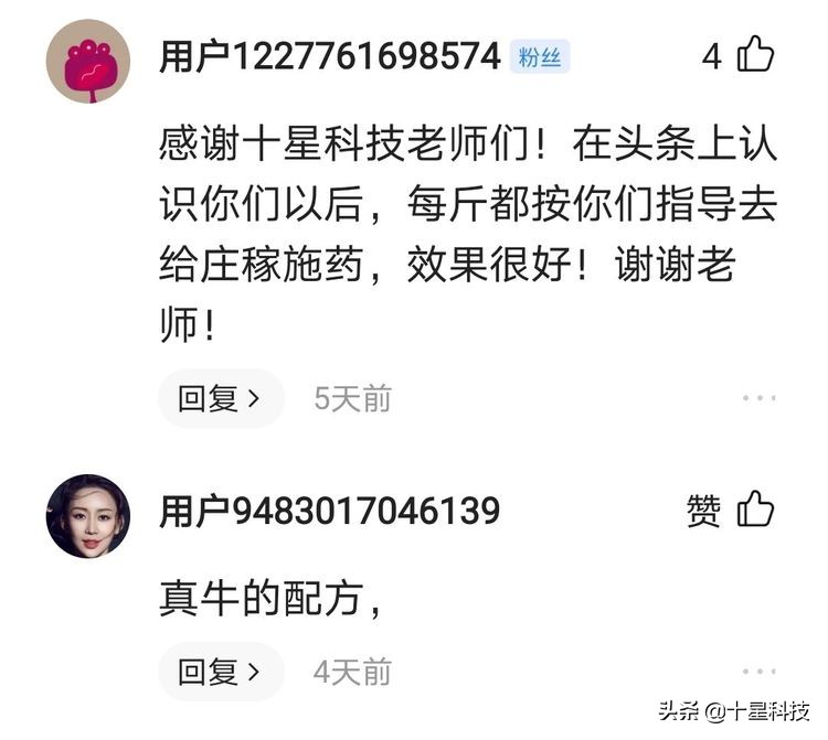 玉米混播高产吗,玉米混播有哪些品种