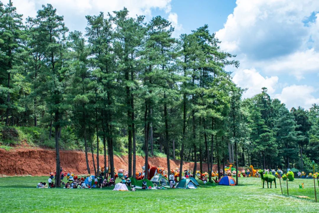 昆明五一露营建议去哪玩,昆明周边郊游露营
