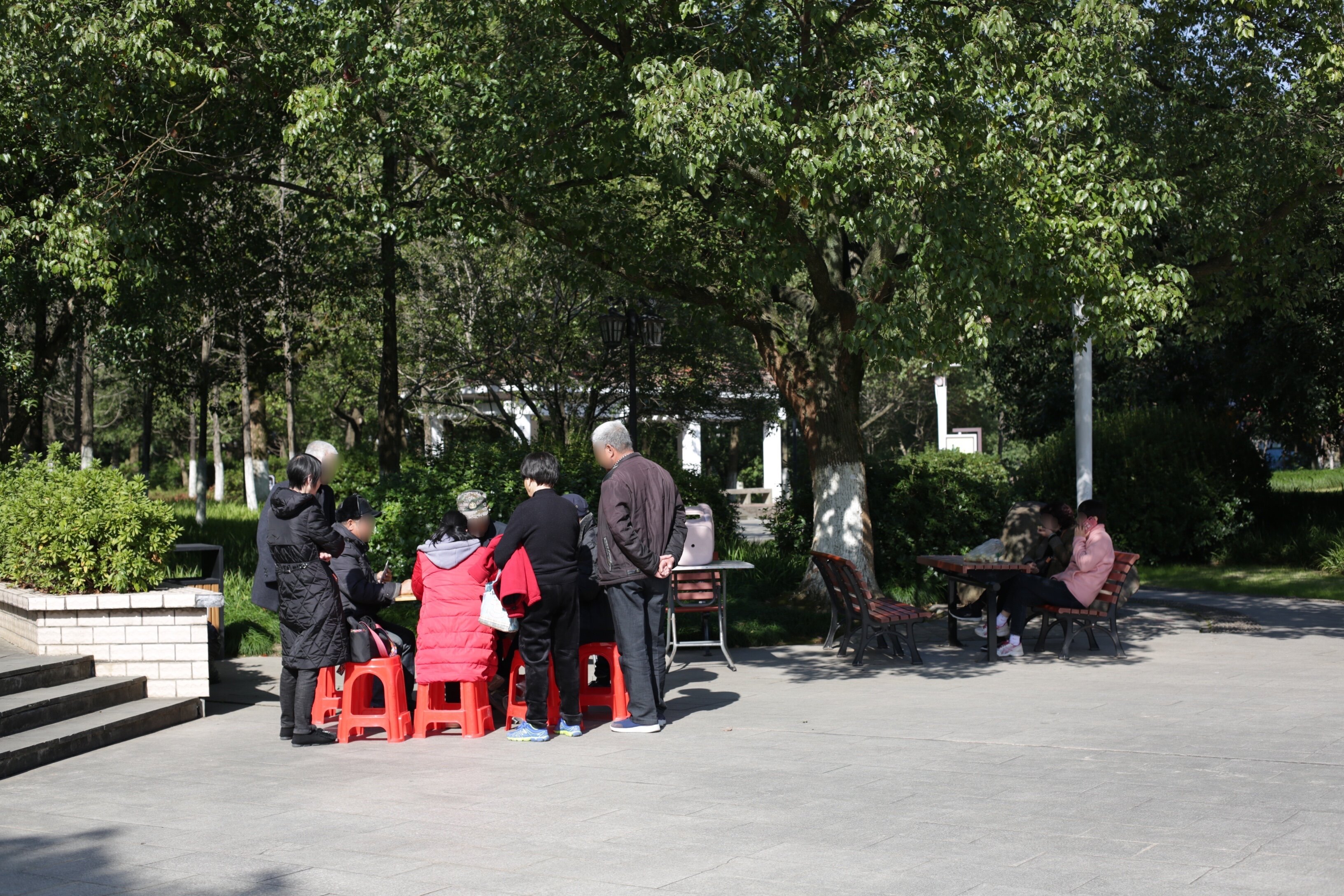 60多岁老人被抓涉嫌诈骗,60岁以上集资诈骗案