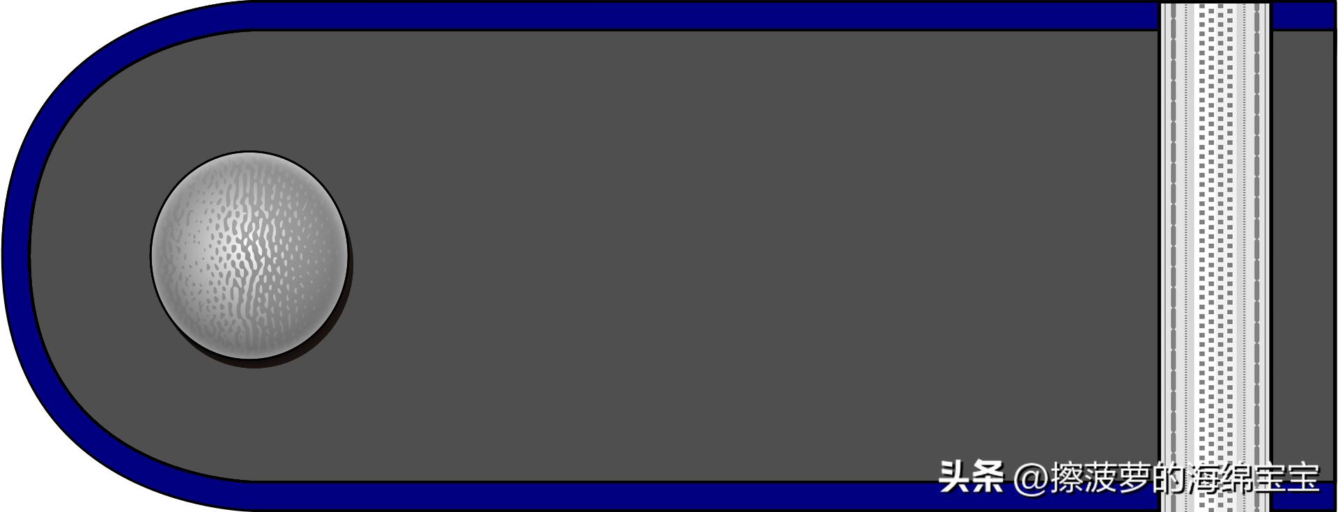 二战德国国防军医疗兵军衔标志