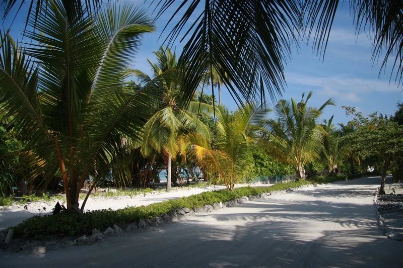 马尔代夫蜜月免费项目,蜜月旅游去马尔代夫哪个岛屿最好