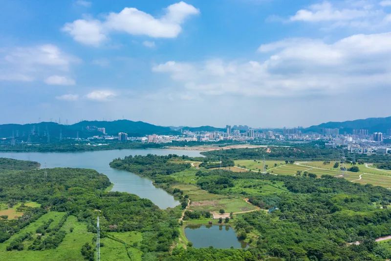 我为什么建议你来北上广深奋斗,我为什么建议你留在一线城市