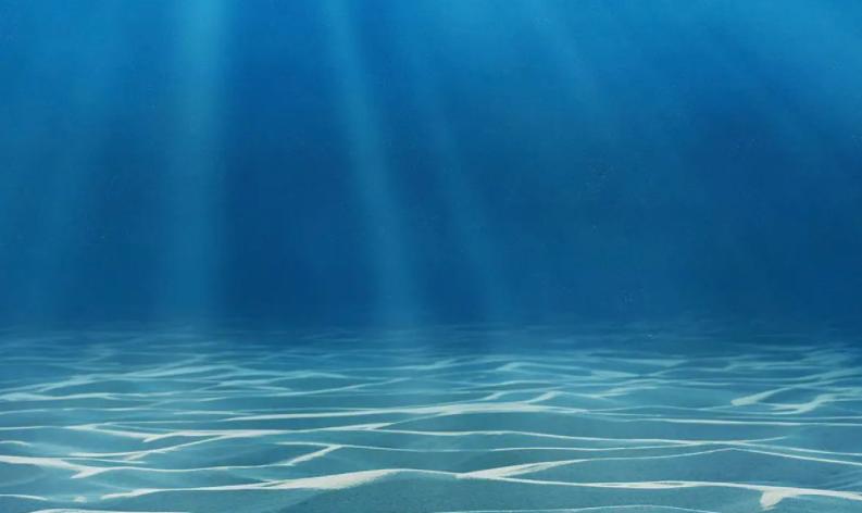 深海发现生物人类重新思考,科普深海8000米的神秘生物