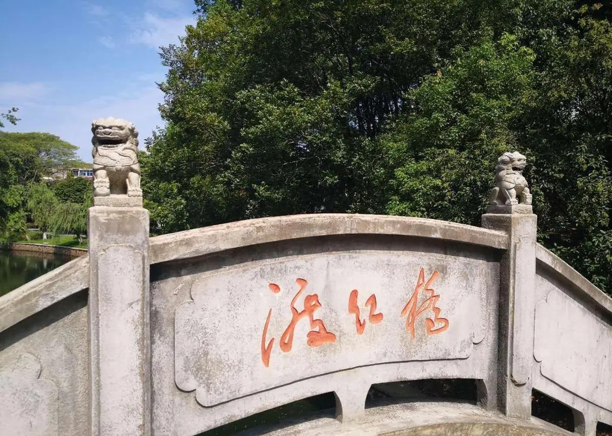 宜兴和桥建湿地公园,宜兴和桥公园