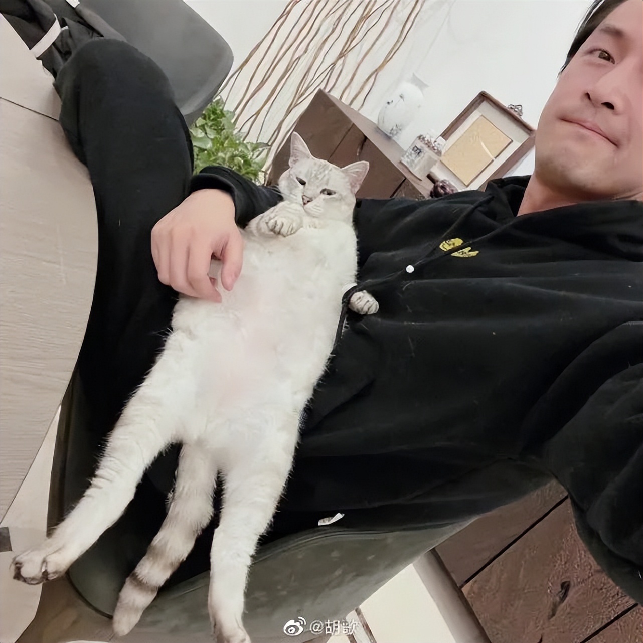 消失六年的他回来了,消失五年的他