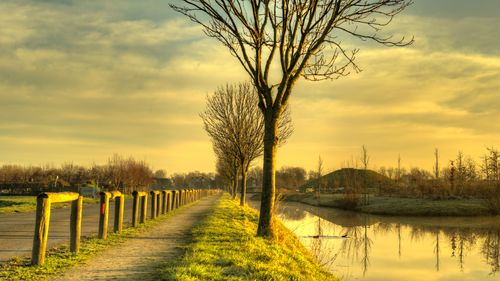 在咖啡馆打工的经历,在咖啡馆工作的感受