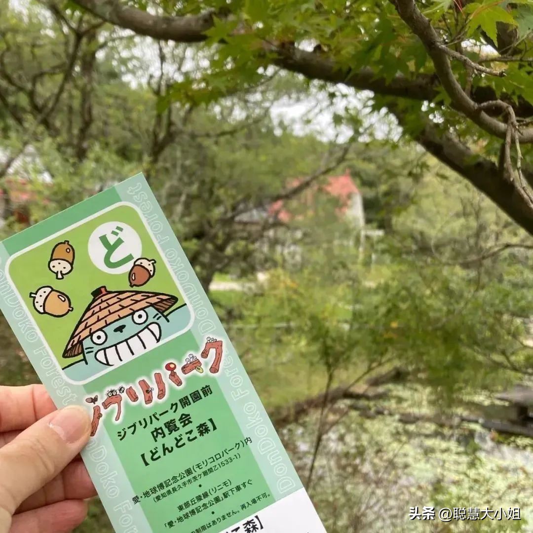 宫崎骏三鹰美术馆完整版,三鹰之森宫崎骏第二弹图鉴