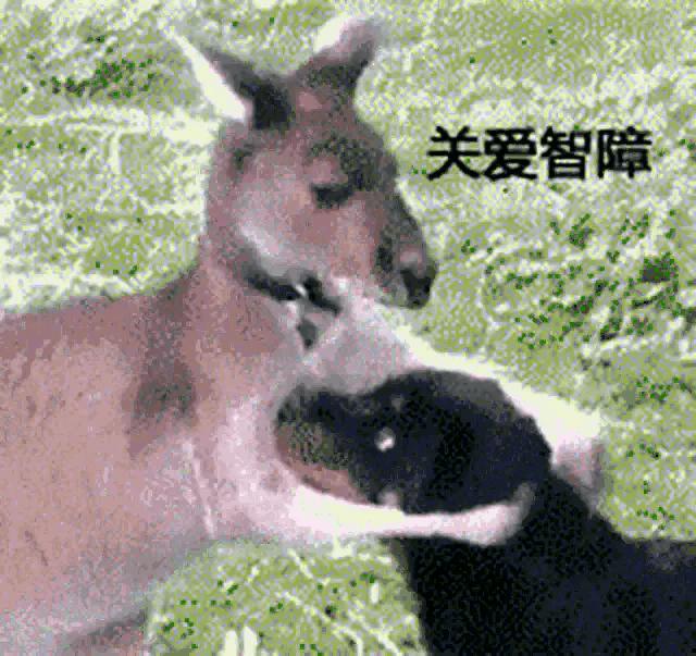 坦克世界IS-3A加强后好用在哪