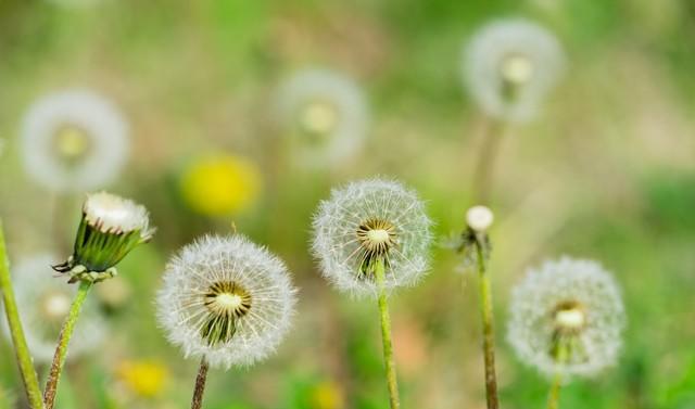 永恒的爱意一生的守候,永恒的爱心万年不变