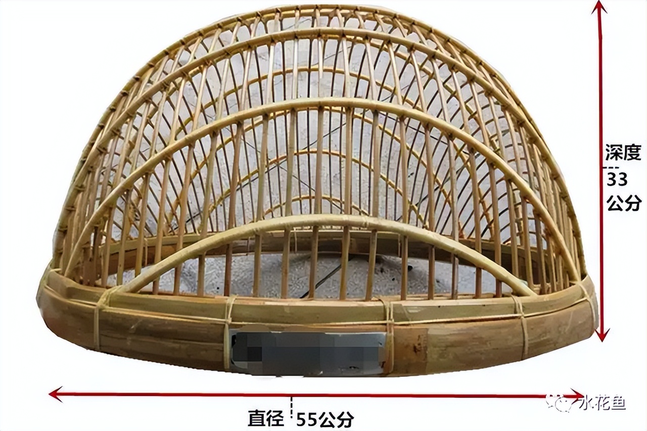 筛鱼神器小筛,4厘米宽的鱼筛可以筛多大的鱼