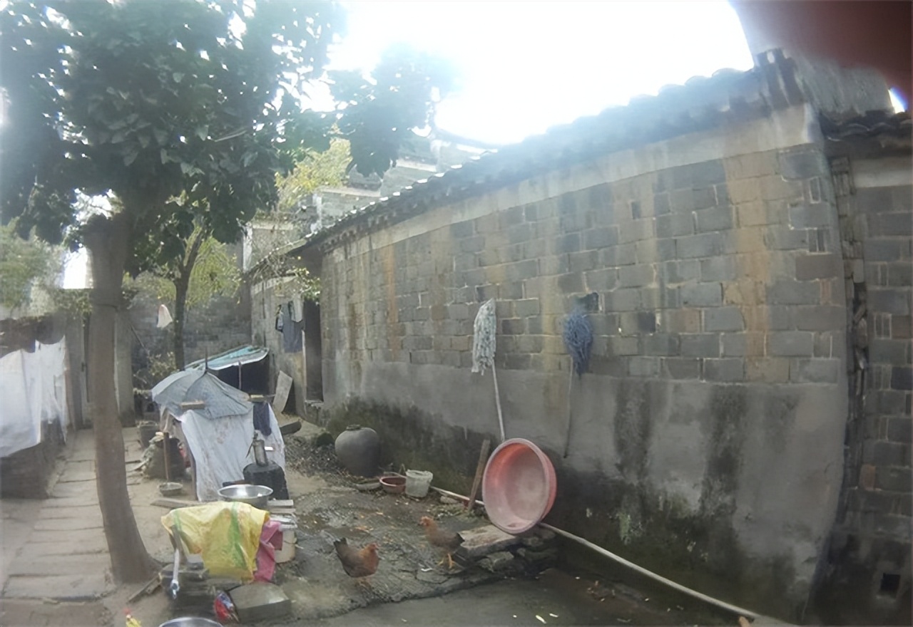 人老了丧失好奇心,人老了有求生欲望吗