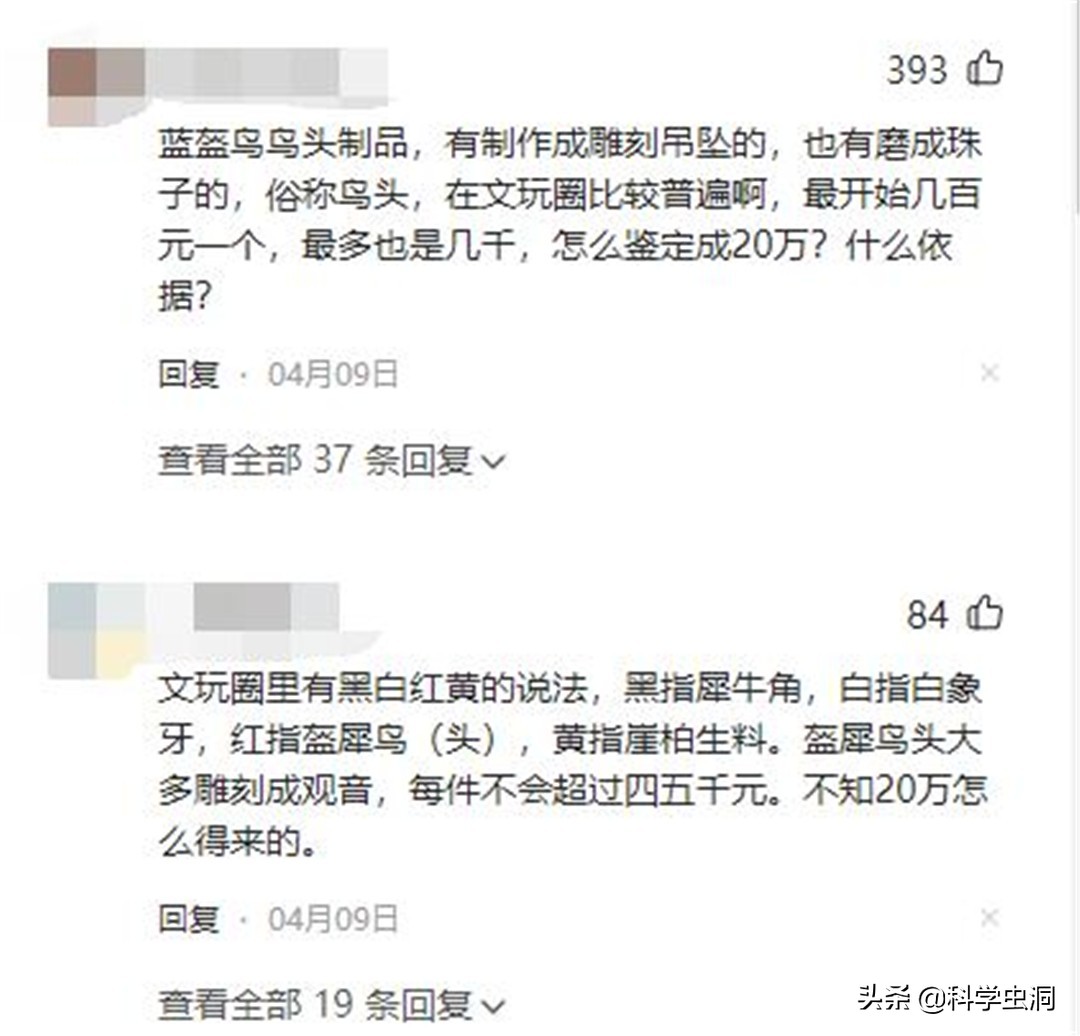 天津一女子买鸟头吊坠被判刑10年,天津女子买吊坠获刑十年