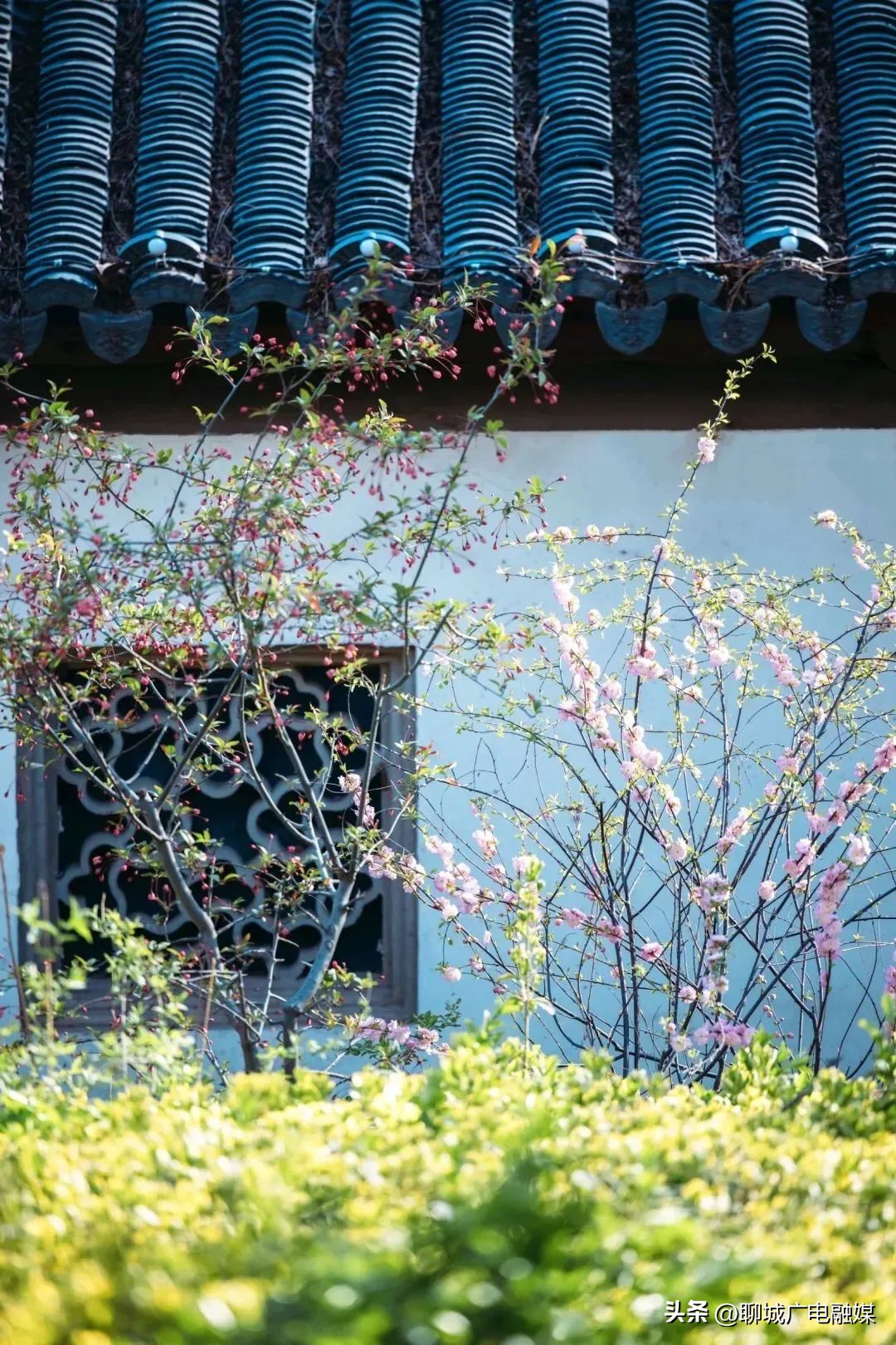 邂逅最美聊城,邂逅聊城