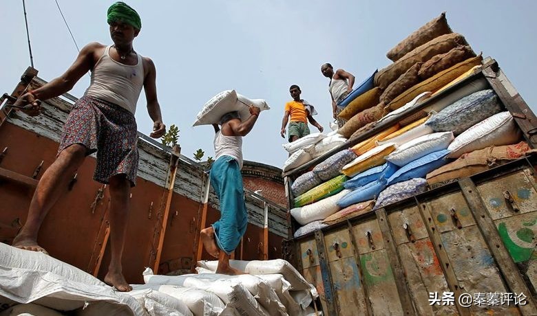 几个国家已禁止粮油出口,目前有多少国家限制粮食出口