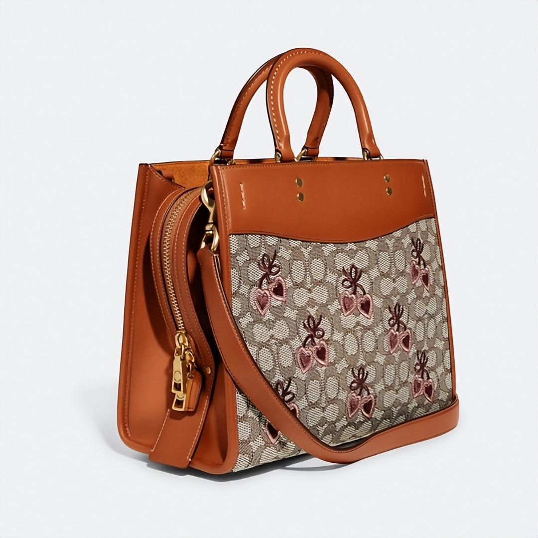 coach2020的春季限定包包,coach2022包包新款