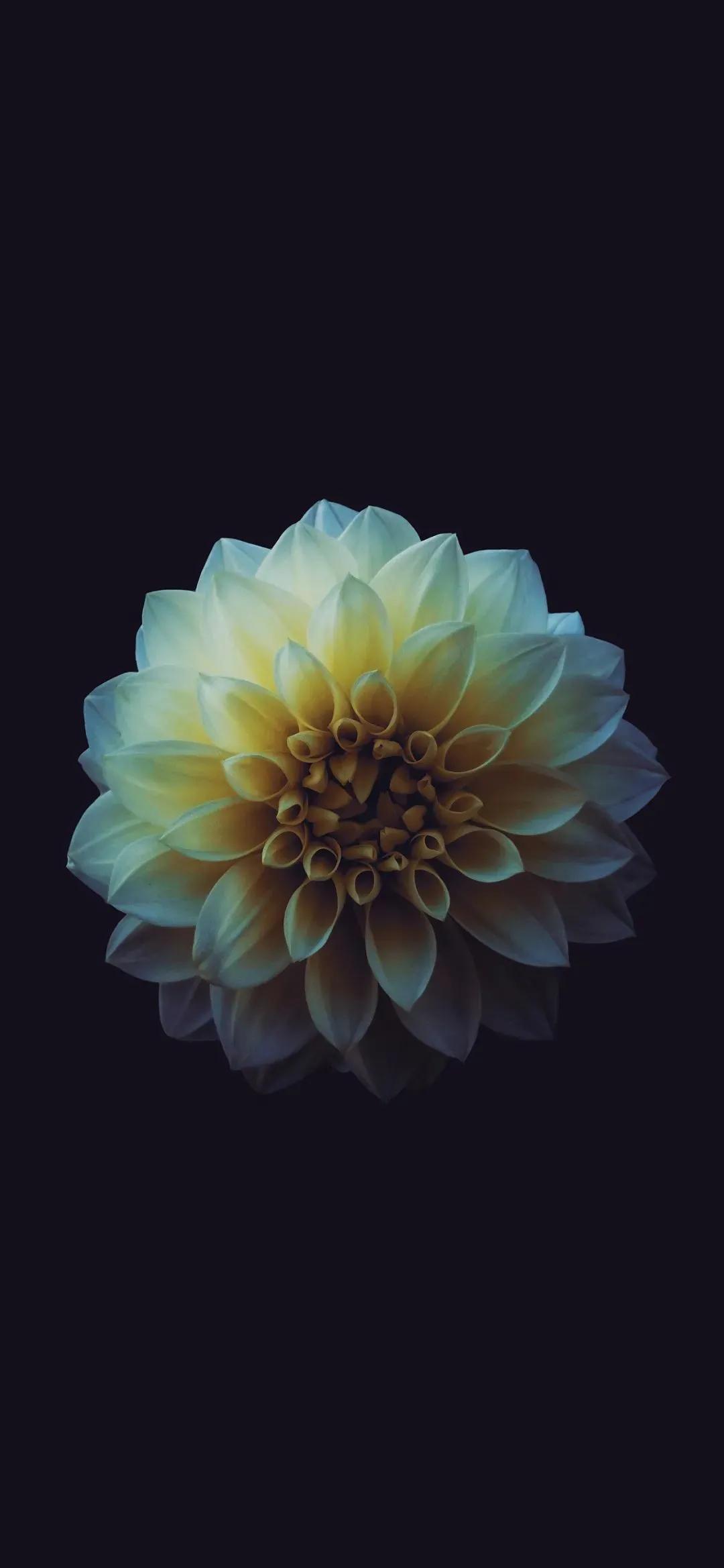 iphone高清黑色省电壁纸,炫酷又省电超清的黑色壁纸