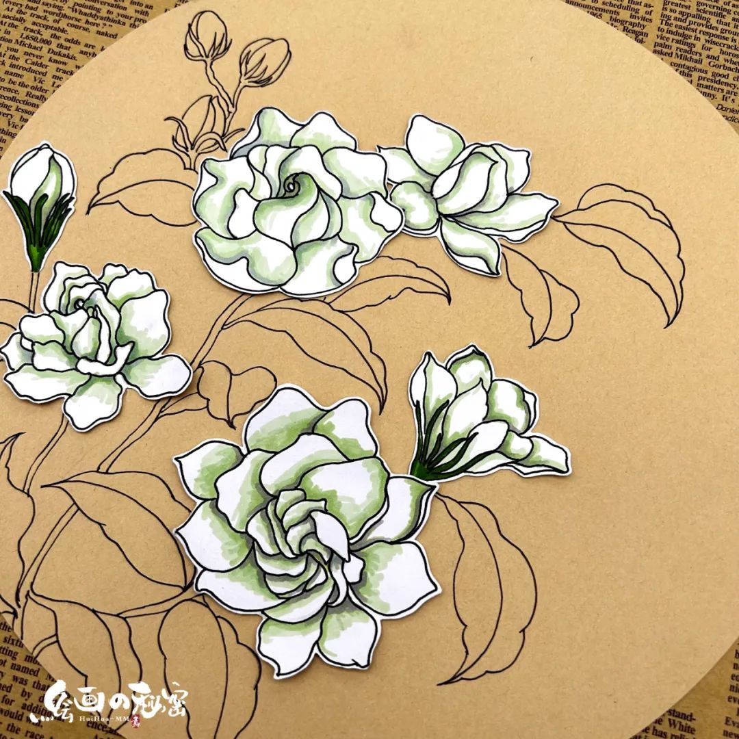 茉莉花开,茉莉花盆栽