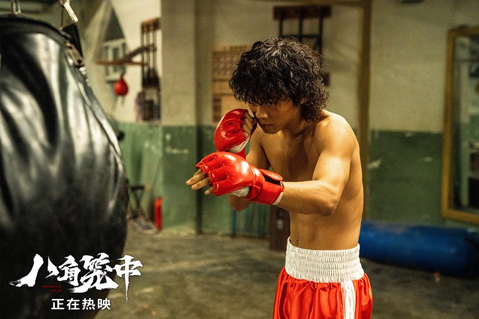 八角笼中揭露了什么,八角笼中格斗片段技术解析