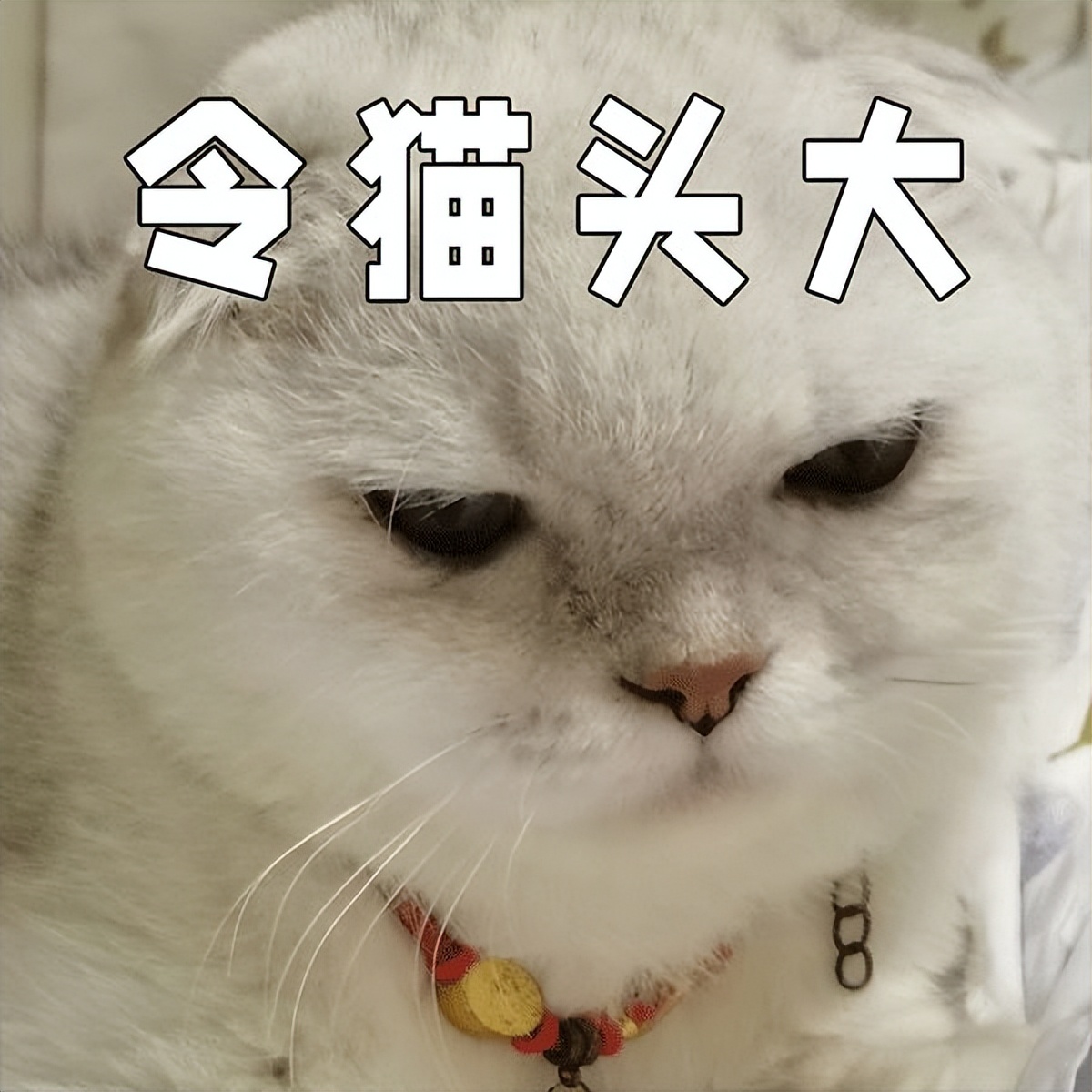 北京居住证和工作居住证的区别,北京居住证与工作居住证区别