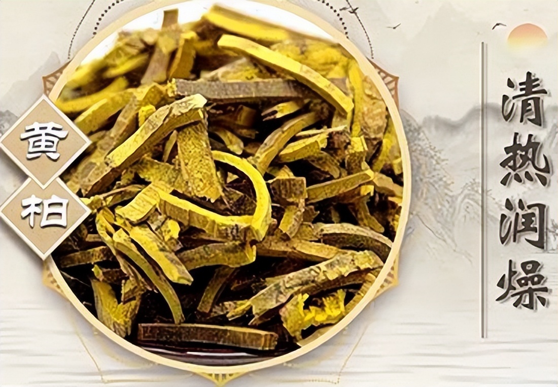 六味地黄丸杞菊地黄丸功效与作用,六味地黄丸杞菊地黄丸副作用