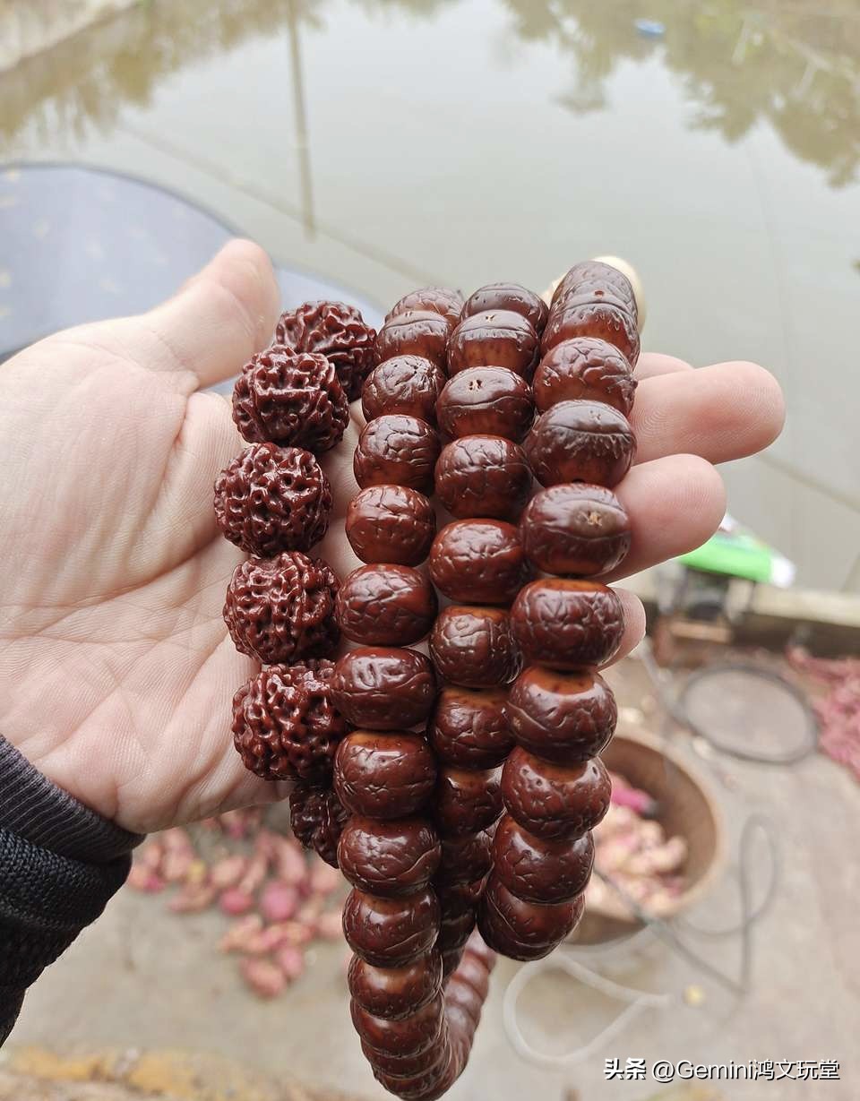 凤眼菩提基本知识新手须知,凤眼菩提的做法