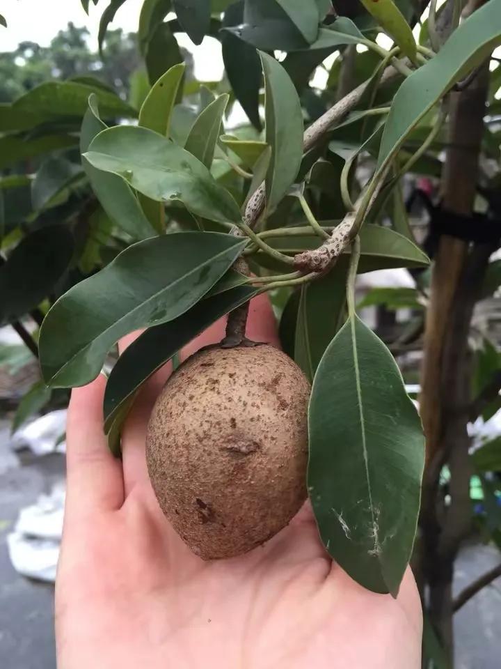 如何花最少的钱改造出租屋,怎样花最少的钱布置出租房