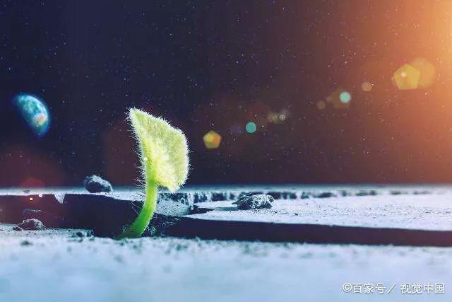 人生最值得的五大投资,人生最值得的五大投资图片