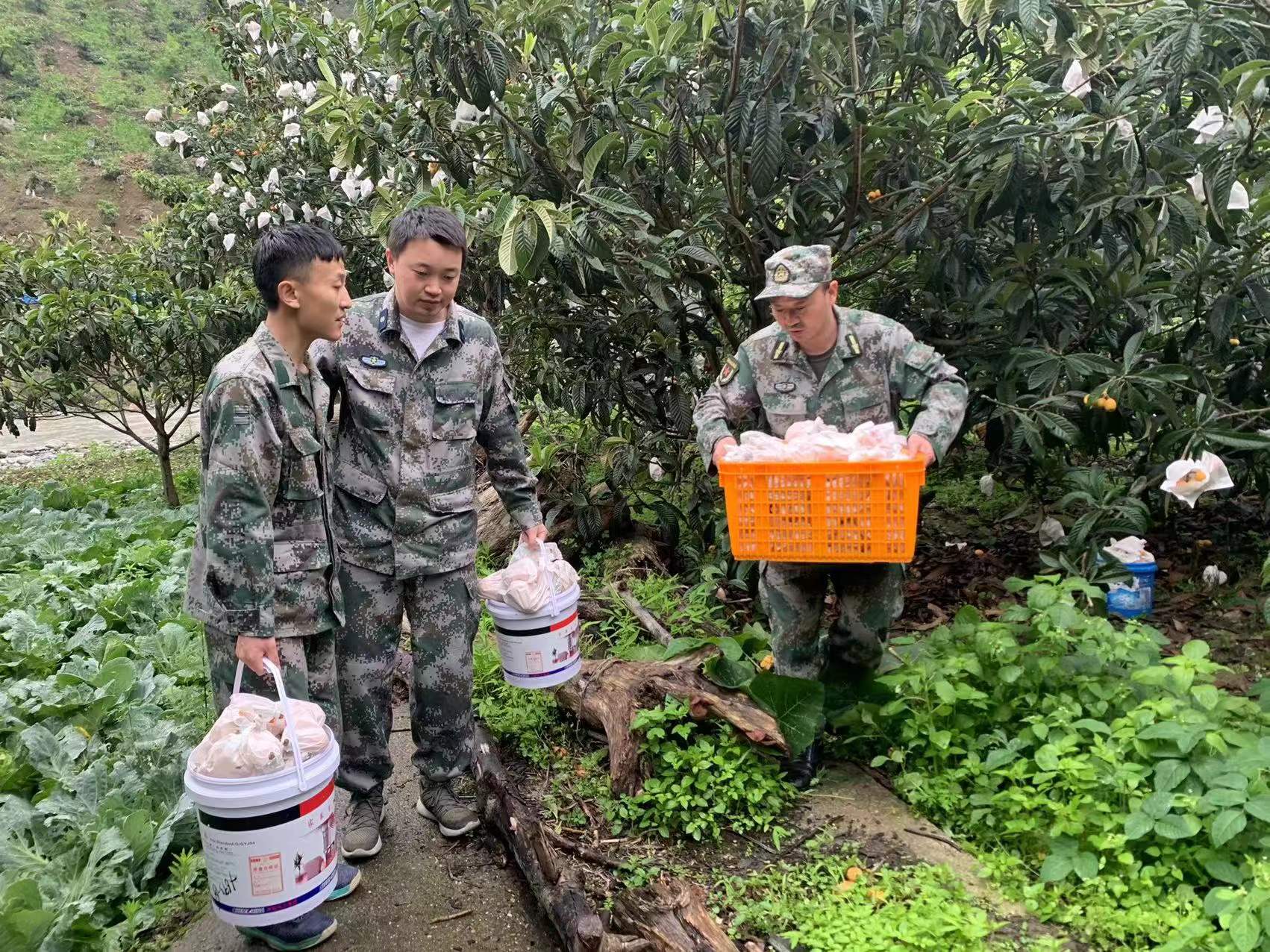 鍥涘窛闆呭畨鍦伴渿浜戝崡浜烘敹鏋囨澐,璧堢伨瀹濆叴鏋囨澐