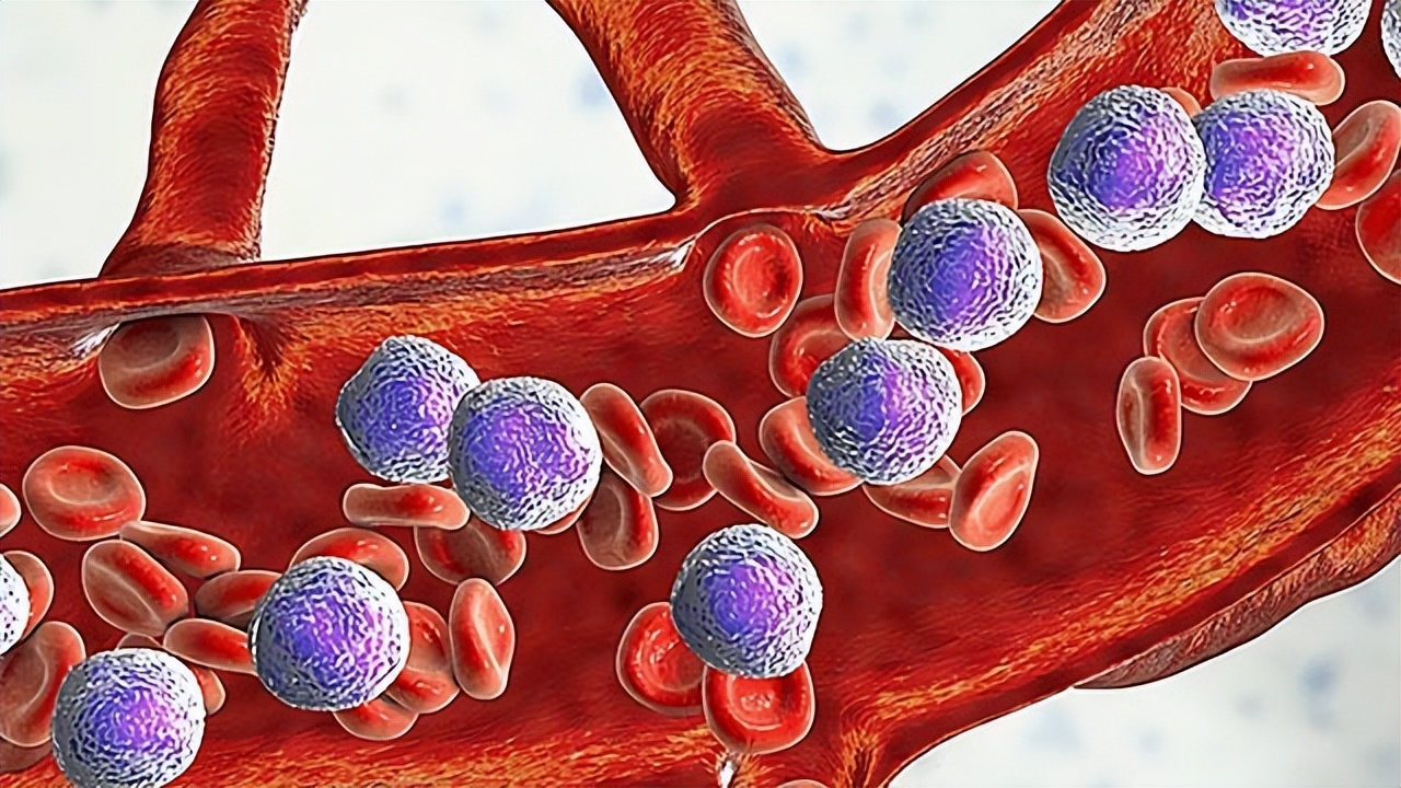 14年尿毒症女孩寻亲十几年无果,癌症女孩临终前苦苦寻亲